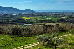 Immagine 2021-07-27 140552